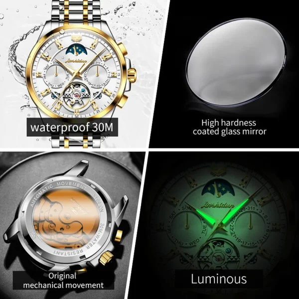 JSDUN 8945 Original Men's Automatic Mechanical Watch Fashion Tourbillon Skeleton Waterproof Calendar Luxury Brand Men's Watch - Image 5